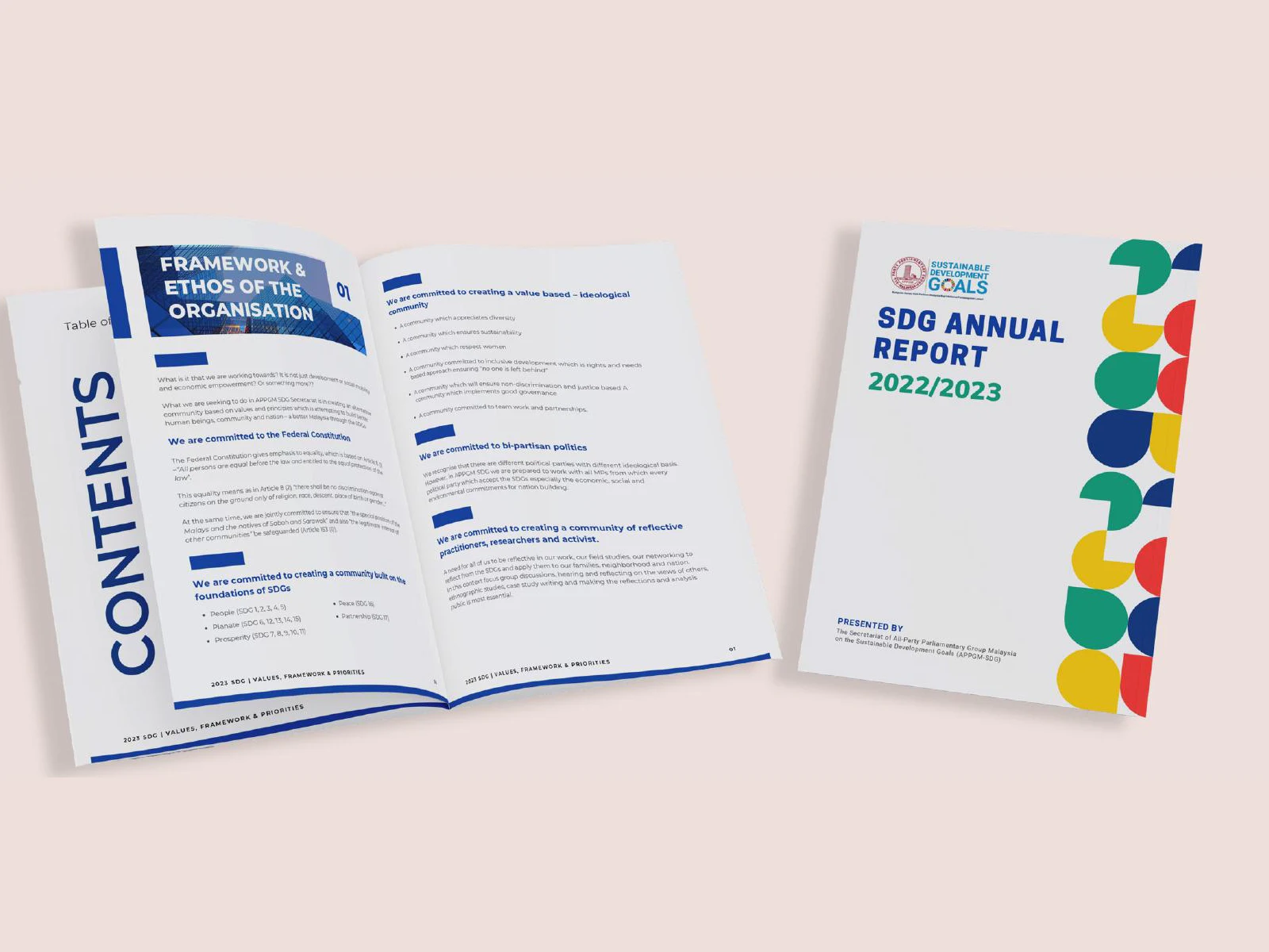 SDG annual report publication design mockup